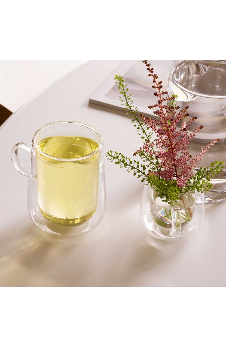 Villeroy & Boch Artesano Hot & Cold Beverage Latte Glass L with Handle Pair, Alternate, color, NO COLOR