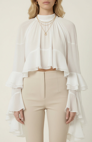 Modenaire Sheer Ruffle Sleeve Blouse