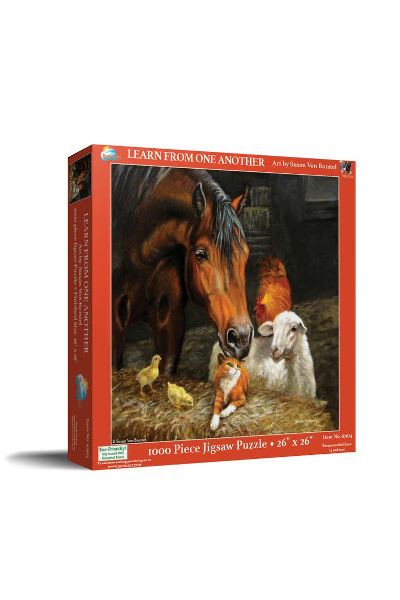 Learn from One Another 1000, Main, color, Multicolor