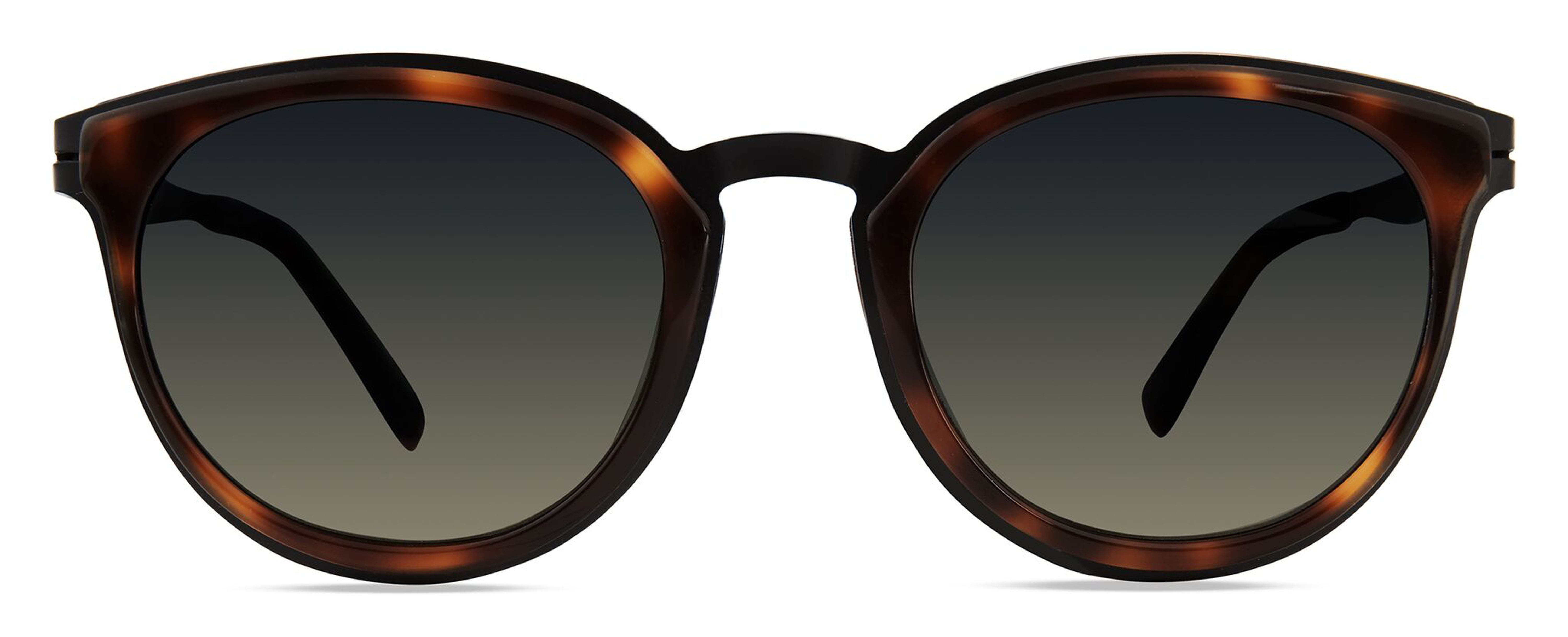 Modo 453 Sunglasses in Tortoise 