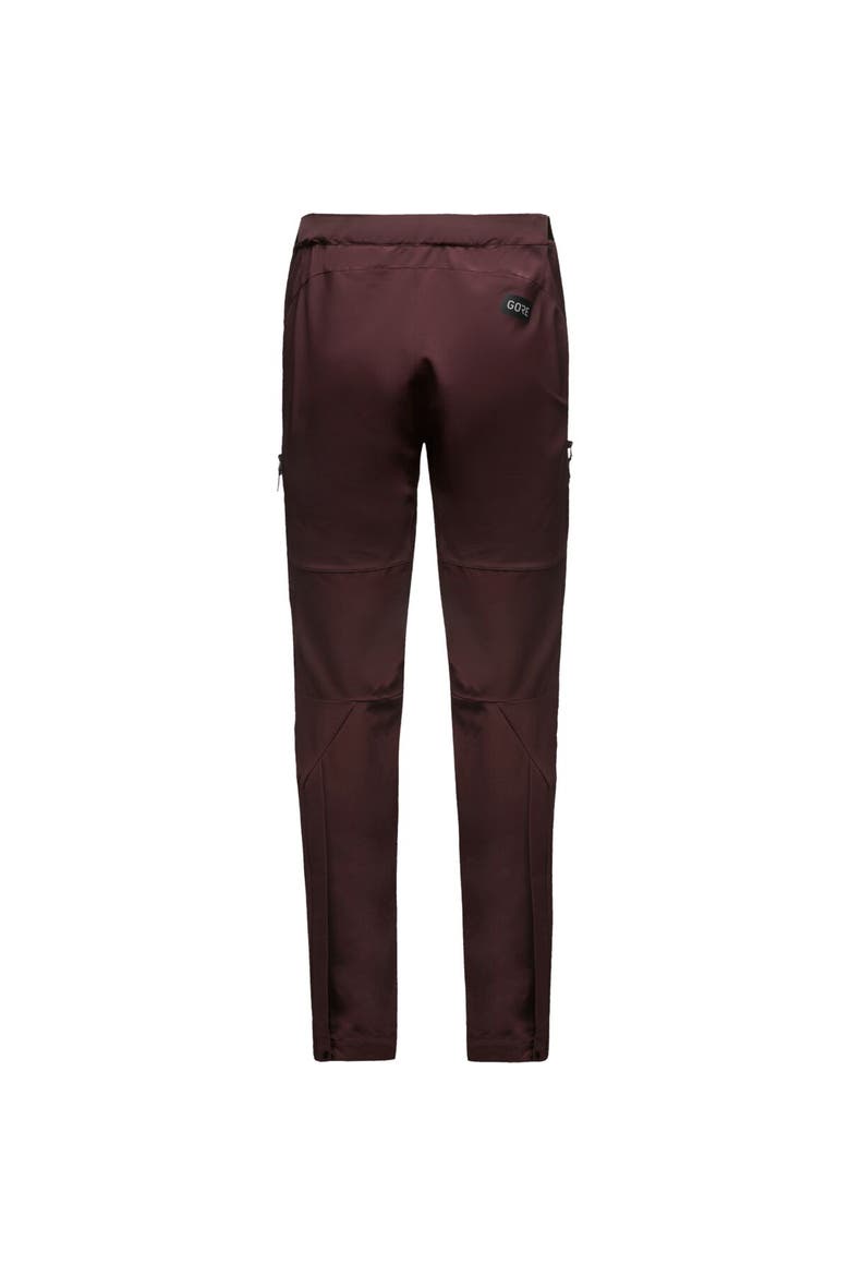 Fernflow Windstopper Pant - Men's, Alternate, color, Utility Brown