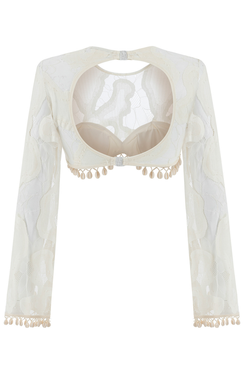 Nocturne Seashell Accessory Crop Top, Alternate, color, 