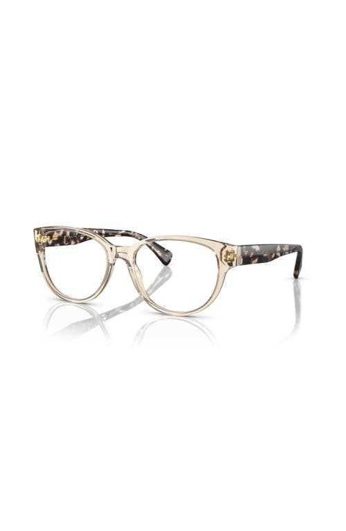 Ralph 52mm Oval Optical Glasses In Brown