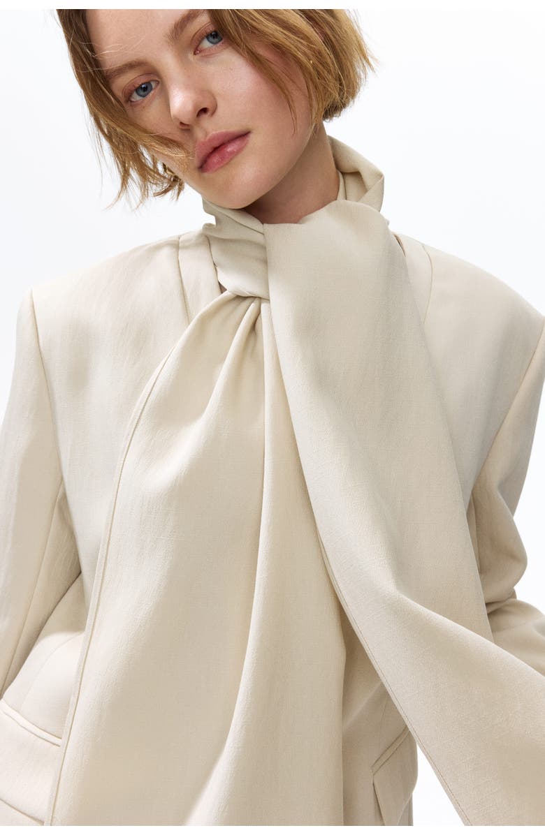 H&M Lapelless Blazer With Scarf, Alternate, color, Light Beige