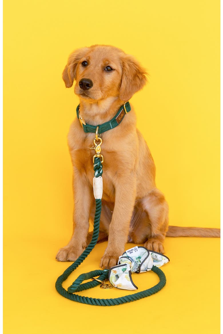 Sam Rope Dog Leash, Alternate, color, Sam 6ft