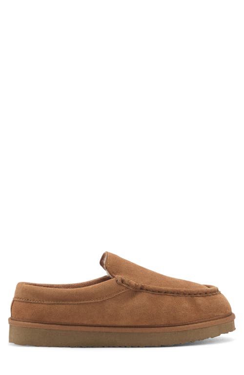 Mango Suede Faux Shearling Lined Clog In Brown