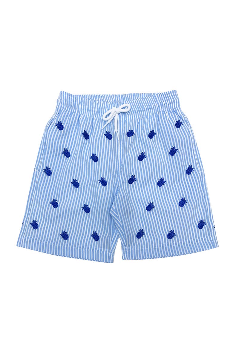 Pineapple Embroidery Striped Drawstring Swim Trunks, Toddler, Little Kid & Big Kid, Main, color, Blue