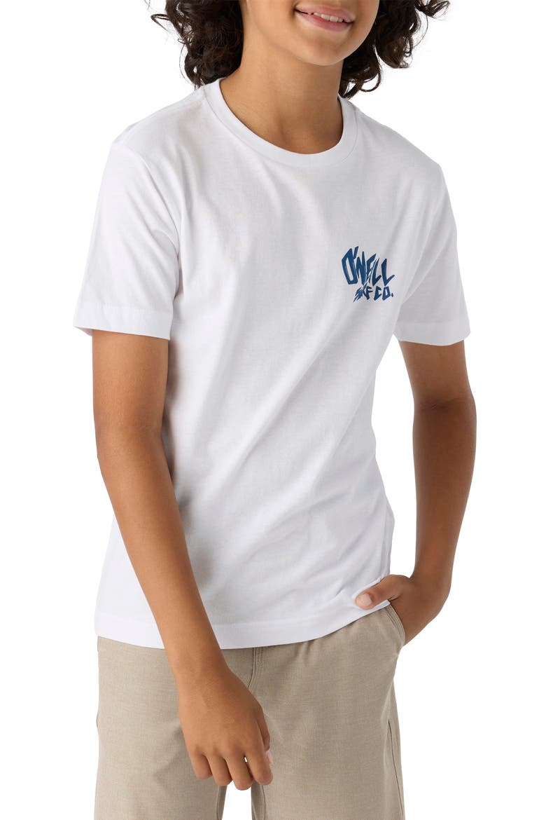 Kids' Drop-In Graphic T-Shirt, Alternate, color, WHITE