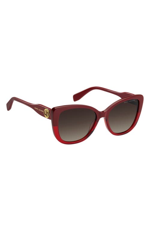 Marc Jacobs 55mm Gradient Cat Eye Sunglasses In Burgundy