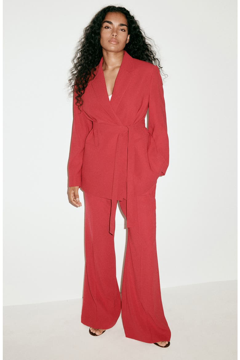 Iguana One Button Blazer, Alternate, color, RED