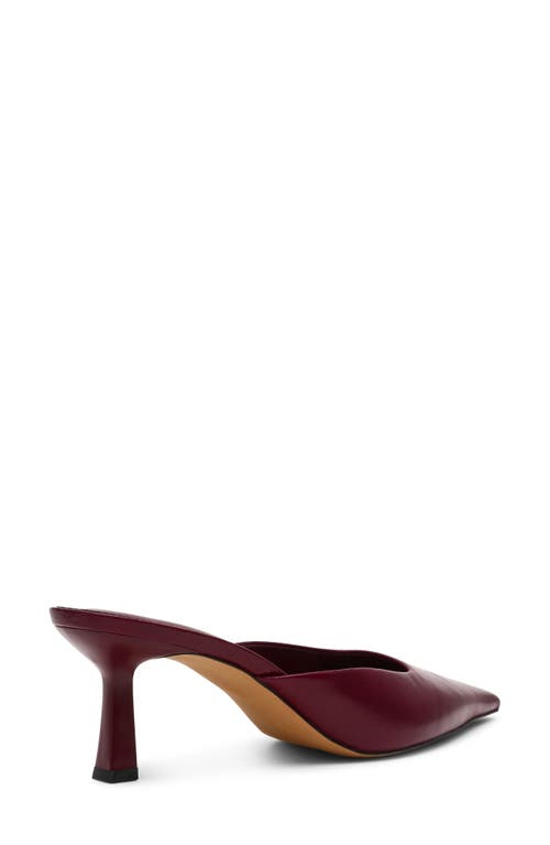 Steve Madden Lisbeth Pointed Toe Mule