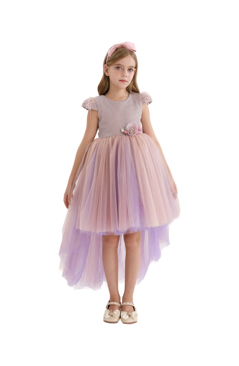 Tulleen Abinante Dress, Alternate, color, Purple