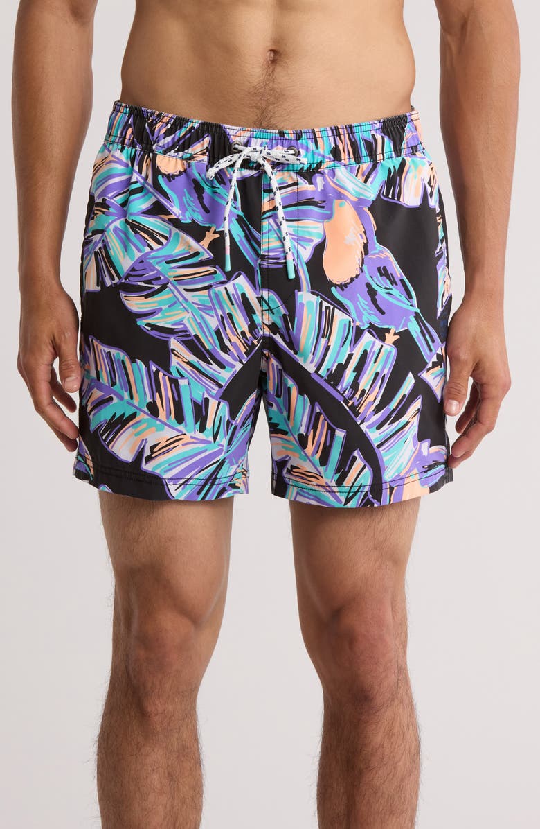 Party Pants Captain Toucan Swim Trunks, Main, color, Black