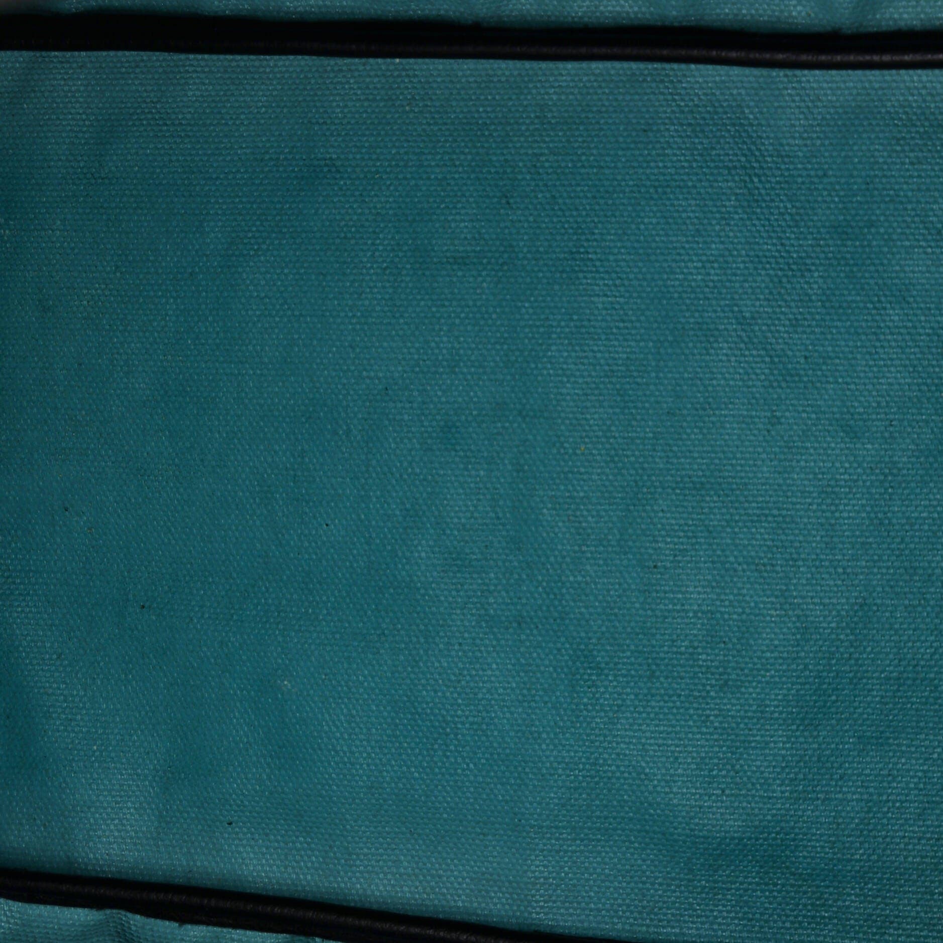 Pre-Owned Goyard Saint Louis Tote Claire Voie Coated Canvas PM, Alternate, color, 