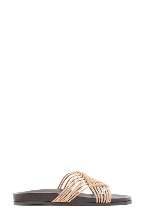 Jeffrey Campbell Plait Sandal In Buff