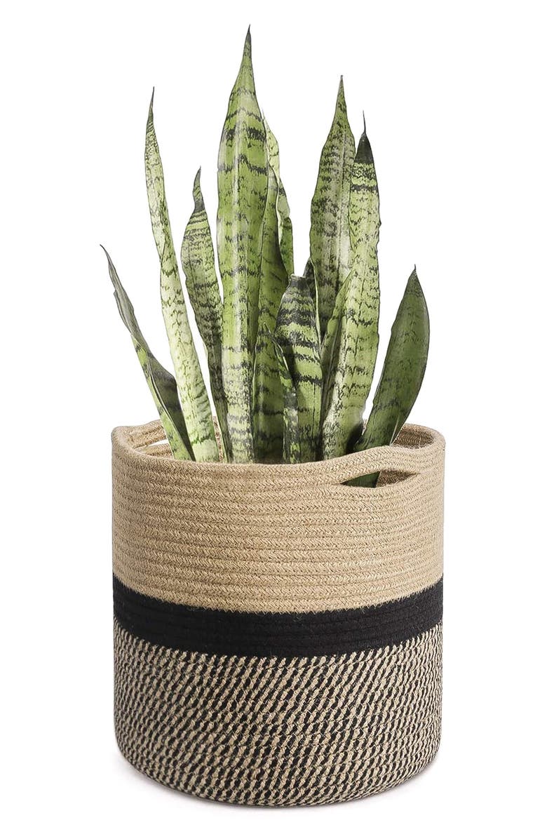 SALAV True Tidy 11" Foldable Basket, Alternate, color,