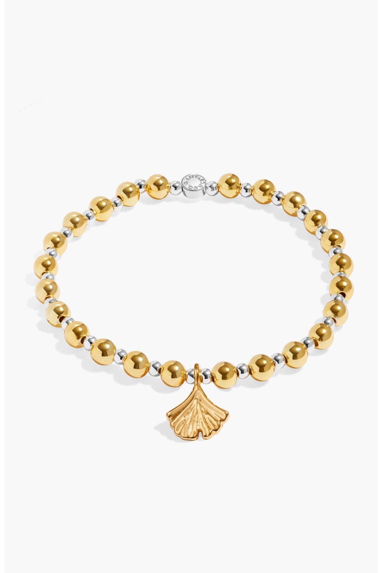 Words To Treasure 'Family' Bracelet, Alternate, color, Mixed