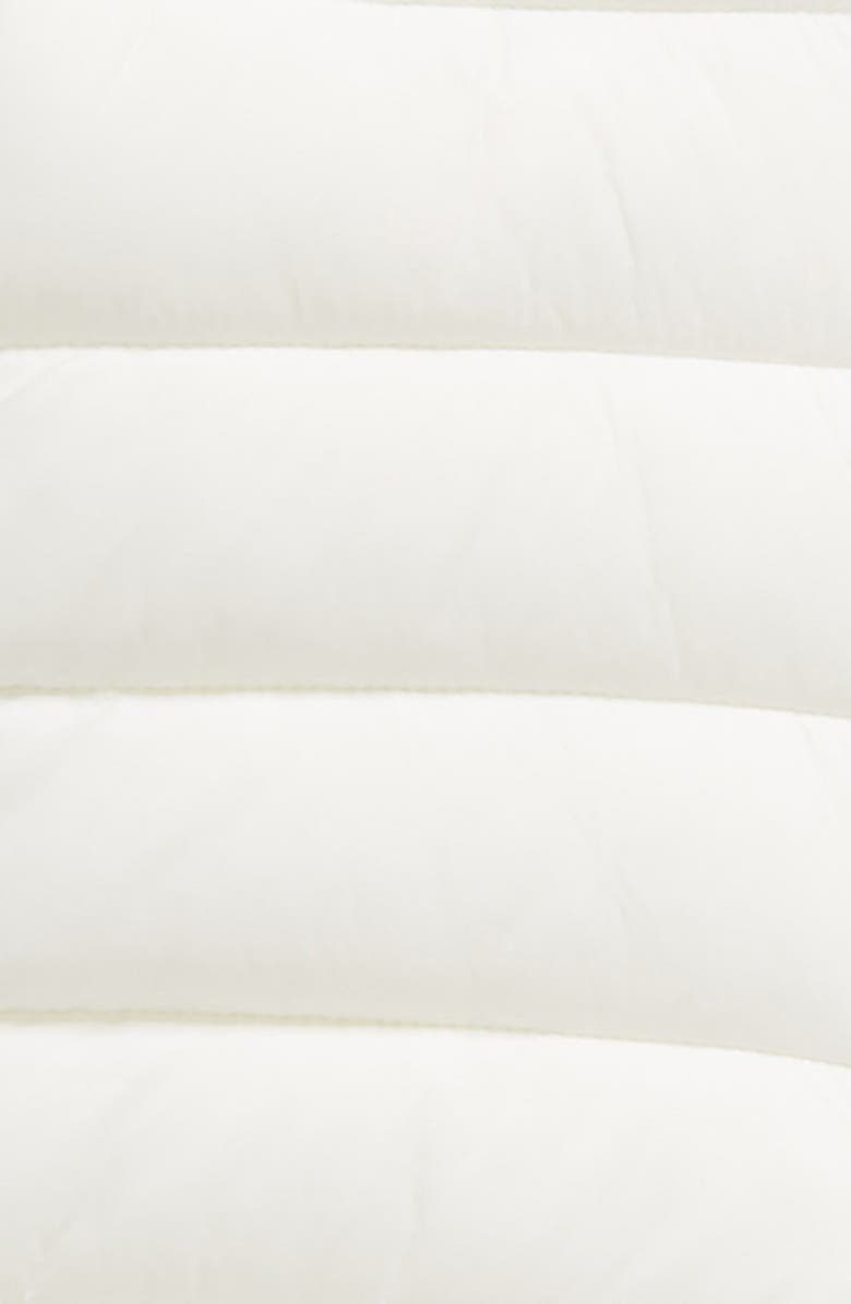 Save The Duck Storm Bunting, Alternate, color,