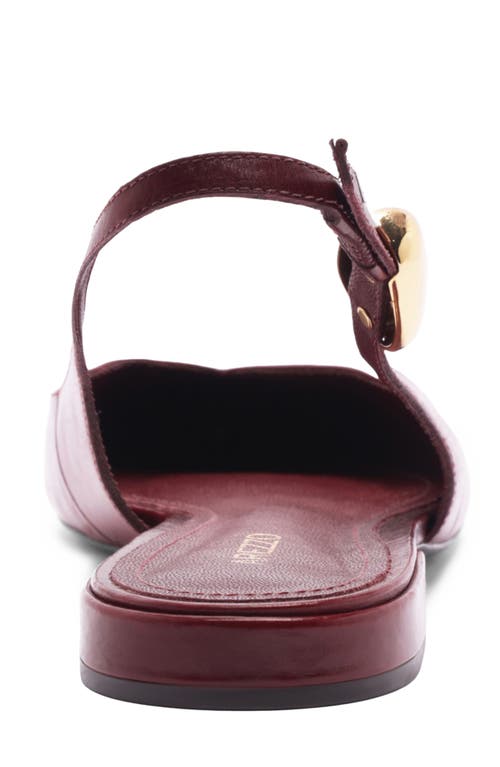 Arezzo Farrah Slingback Pointed Toe Flat In Burgundy