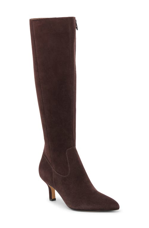 Dolce Vita Attie H2o Water Resistant Knee High Boot In Brown