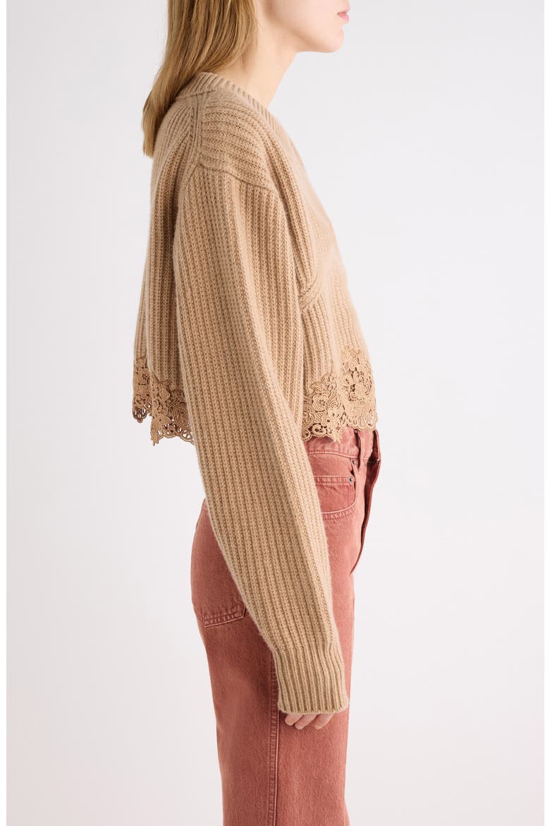 Guipure Lace Hem Wool & Cashmere Crop Sweater, Alternate, color, BLEACHED BROWN