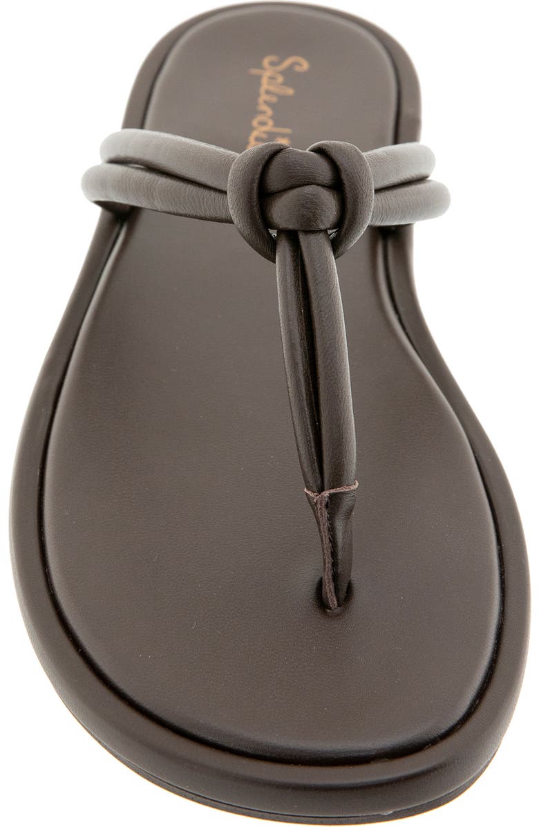 Splendid Ferdinanda Flip Flop, Alternate, color, Spice