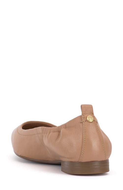Vince Camuto Ashleah Pointed Toe Flat