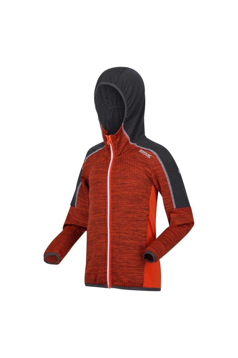 Childrens/Kids Burnton Raglan Hoodie, Alternate, color, Blazing Orange  Rusty