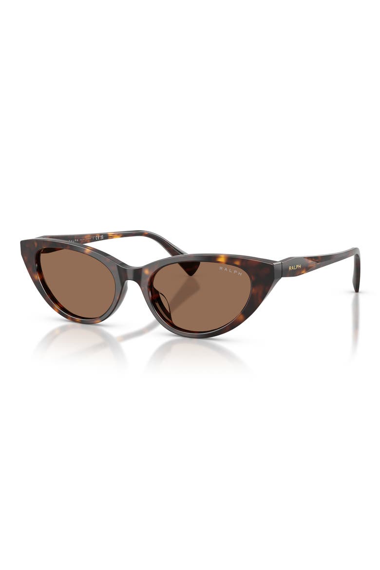 53mm Gradient Cat Eye Sunglasses, Alternate, color, SHINY DARK HAVANA / BROWN