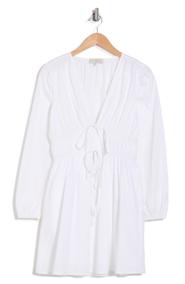 Long Sleeve Ruched Minidress