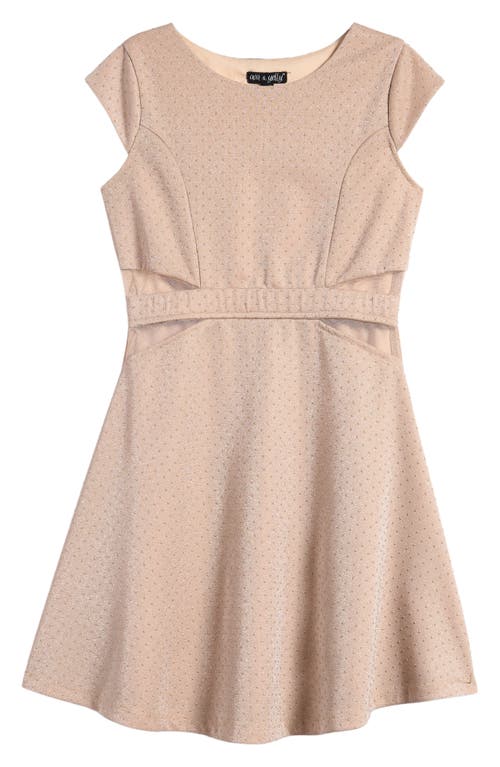 Ava & Yelly Kids' Mesh Insert Skater Dress in Cream 