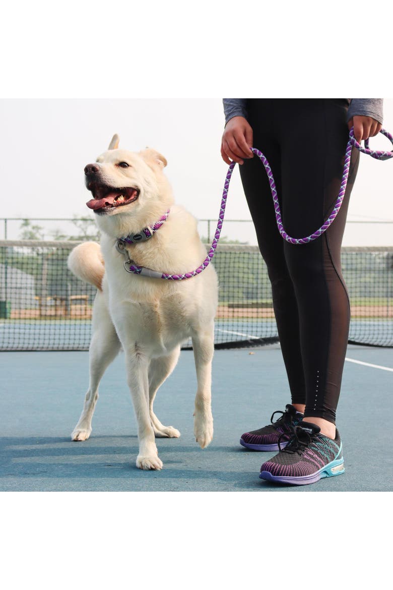 Active Woven Reflective Dog Collar, Small 5/8 Inch, Adjustable, Alternate, color, Purple