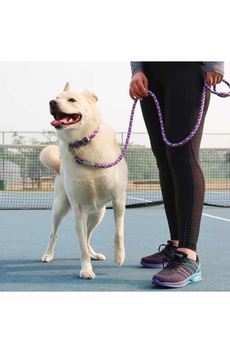 Pro Active Woven Reflective Dog Collar, Violet Purple, Large, 1 Inch Adjustable, Alternate, color, Purple