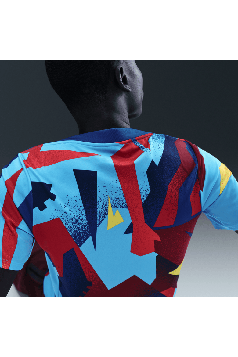Men's Nike Blue Barcelona Special Edition Academy Pro Pre-Match Dri-FIT Top, Alternate, color, Blue