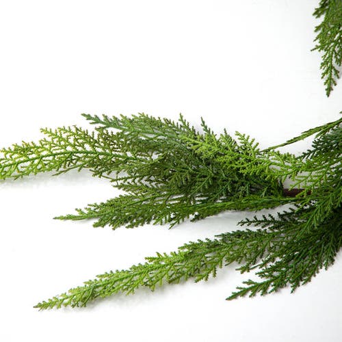 Darby Creek Trading Real Touch Lebanon Cedar Christmas Front Door Garland Or Table Runner