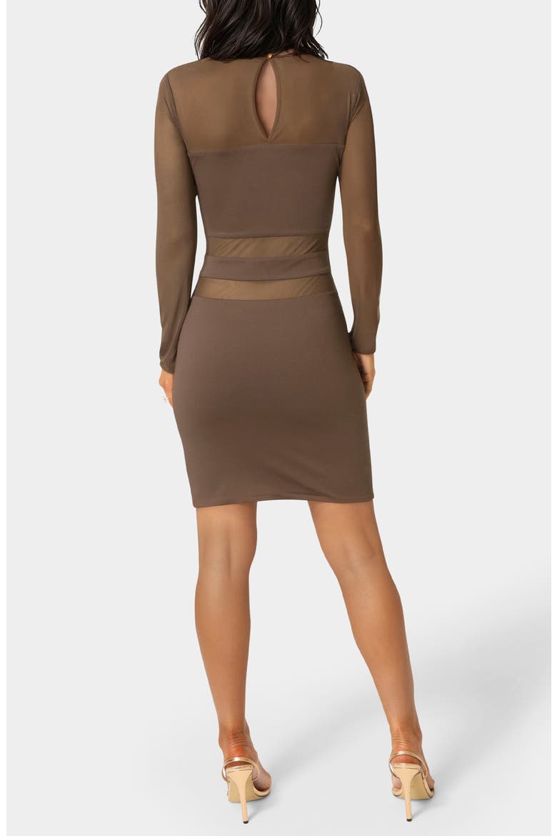Illusion Mesh Mini Dress, Alternate, color, CHOCOLATE