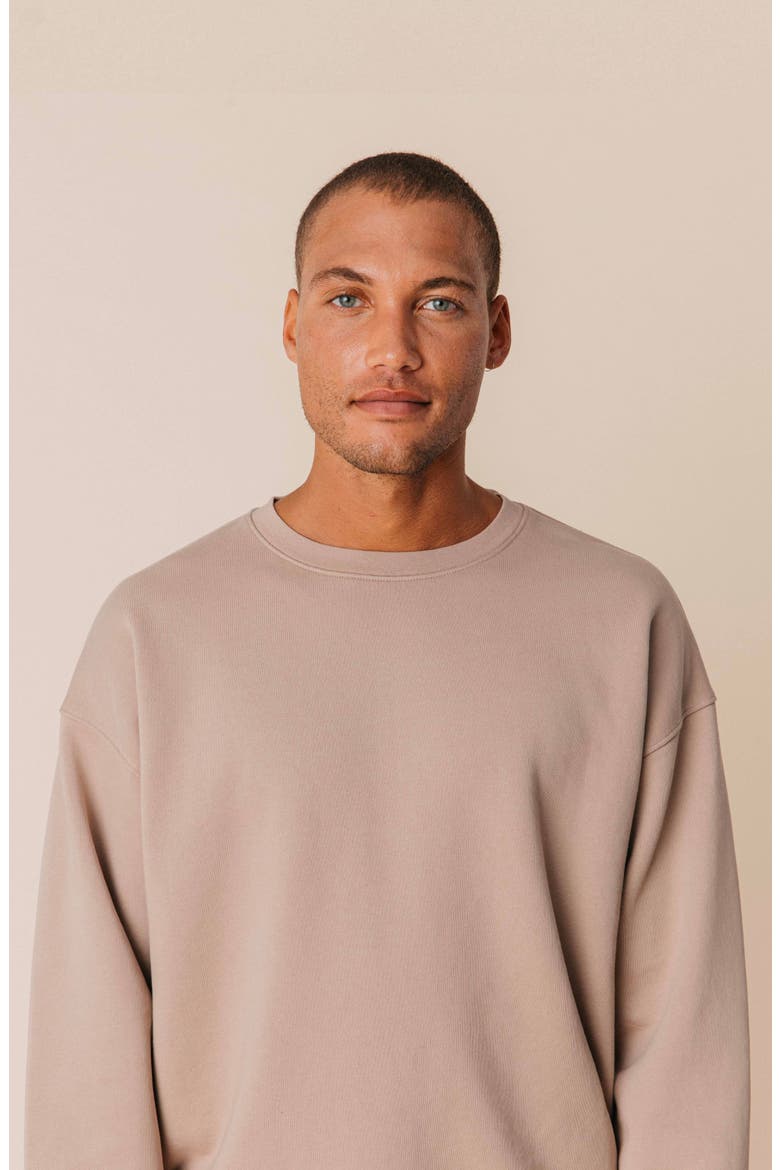 Men's Organic Cotton Teddy Oversized Crewneck, Main, color, Fawn