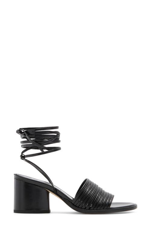 Aeyde Natania Ankle Strap Sandal In Black