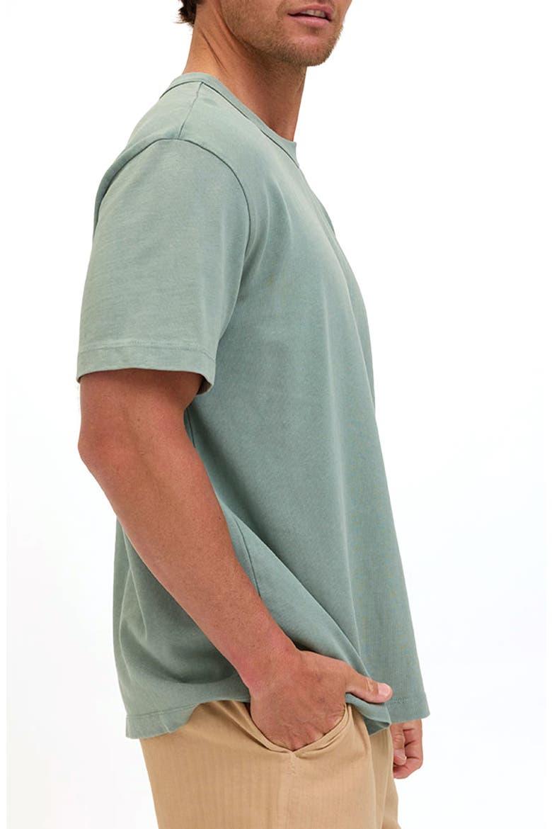 Lone Cactus Cotton Graphic T-Shirt, Alternate, color, SPEARMINT