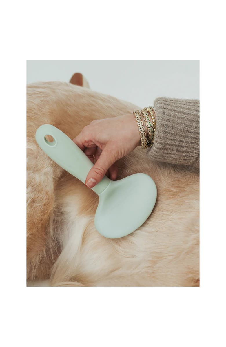 Dexypaws Slicker Brush, Medium, Sage Green, Dog & Cat Grooming Tool, Alternate, color, Green