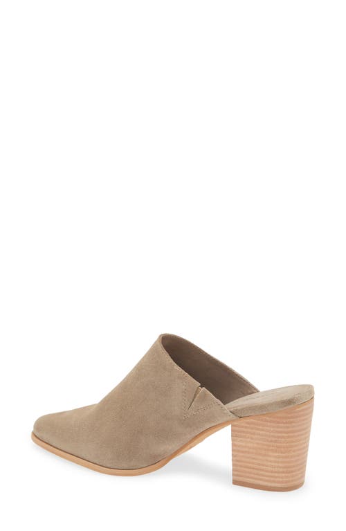 Chocolat Blu Emery Pointed Toe Mule In Brown