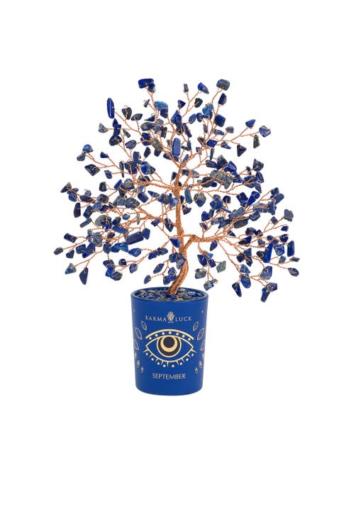 Lapis Feng Shui Crystal Tree of Life September Birthstone Balanced Mind