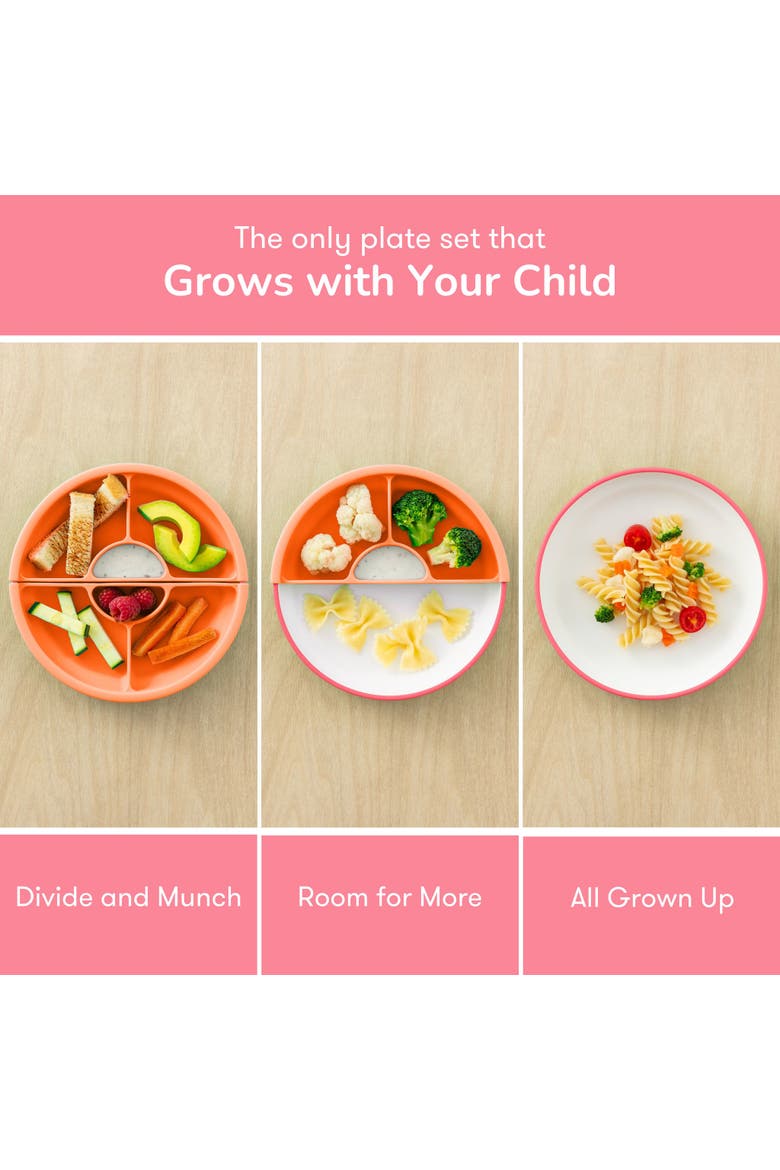 Easy Scoop Plate Set, Alternate, color, Pink