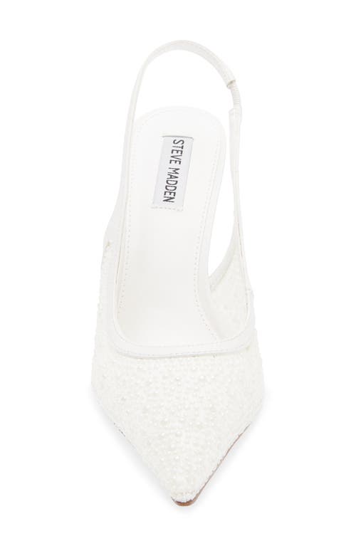 STEVE MADDEN STEVE MADDEN REYES POINTED TOE SLINGBACK PUMP