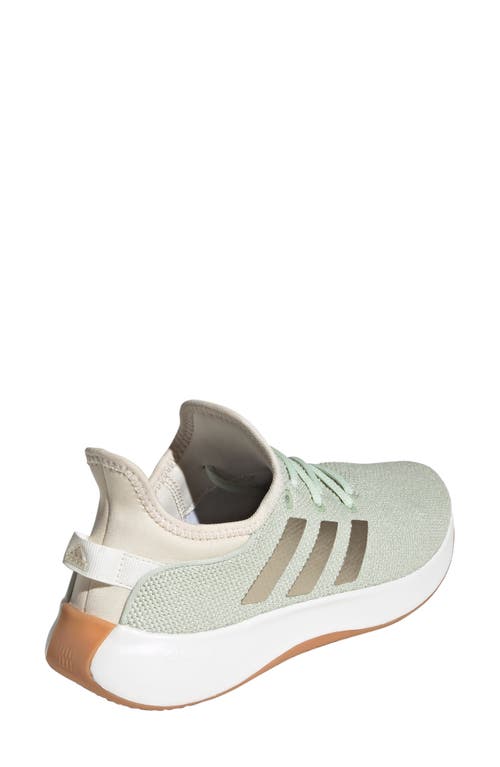 Adidas Originals Adidas Cloudfoam Pure Running Shoe In Linen Green/green Met./white