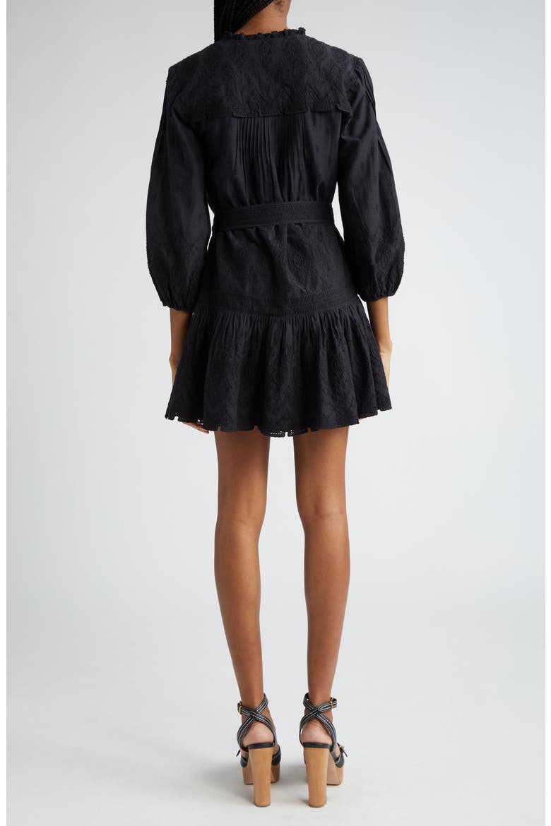 Chrisjen Embroidered Cotton Minidress, Alternate, color, BLACK