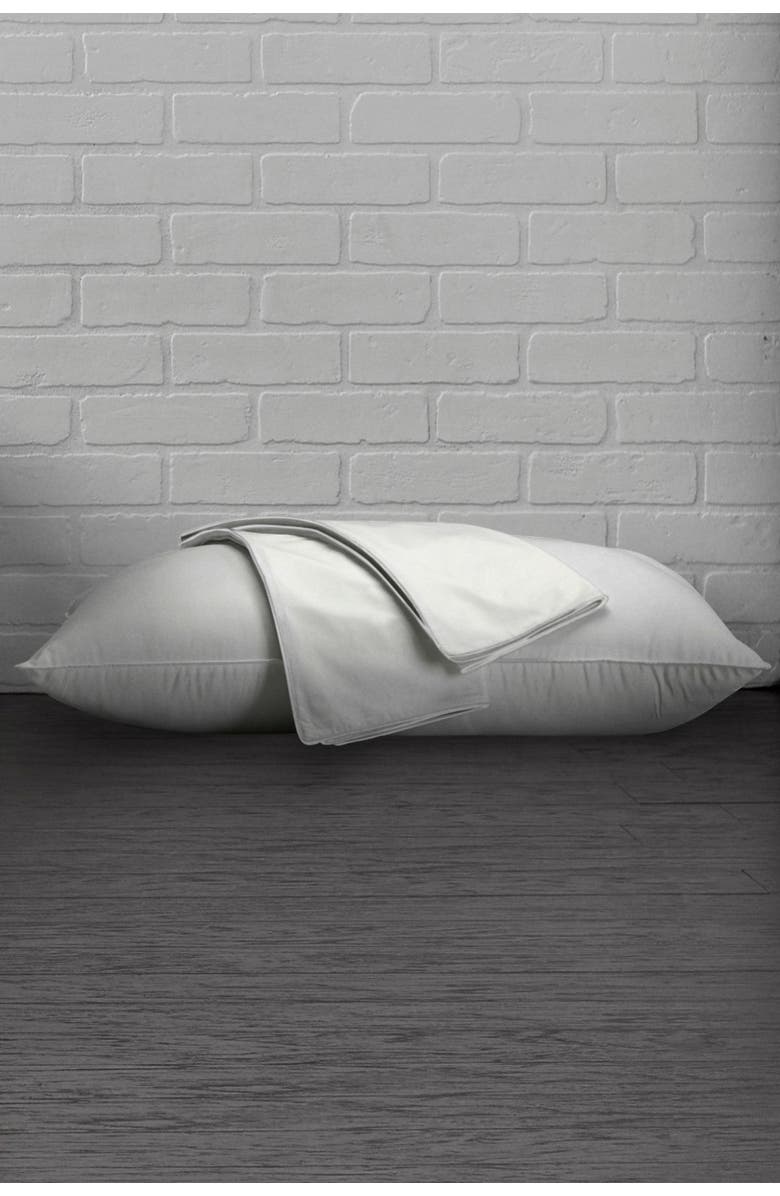 ELLA JAYNE HOME White Cotton Percale Standard Pillow Protector - Set of 2, Main, color,