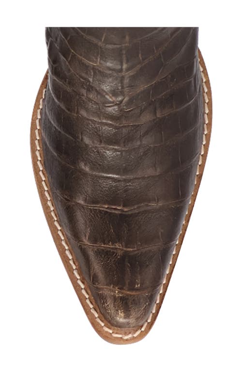 Dingo Ozzie Western Boot In Brown