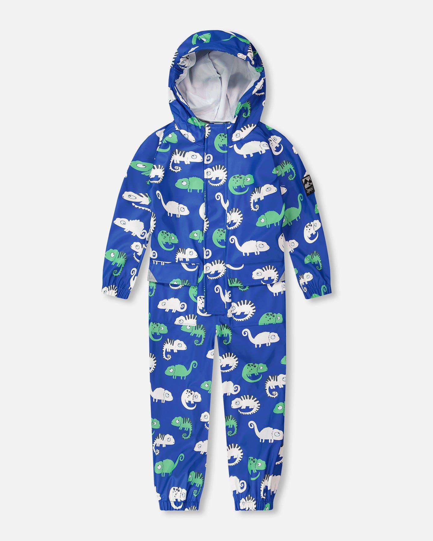 selected Blue Chameleon Print