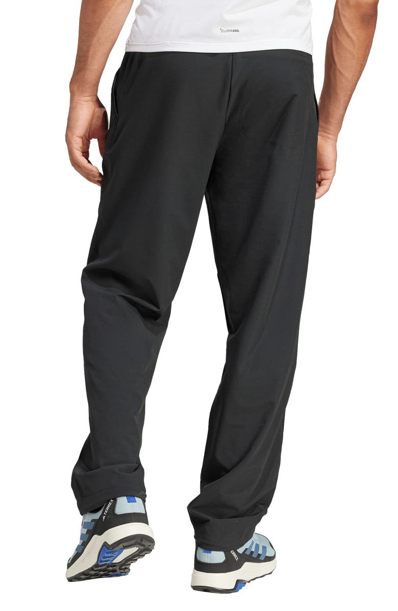 adidas Terrex Liteflex Hiking Pants, Alternate, color, Black